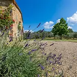 Il Laghetto By Interhome Tatil Evi
